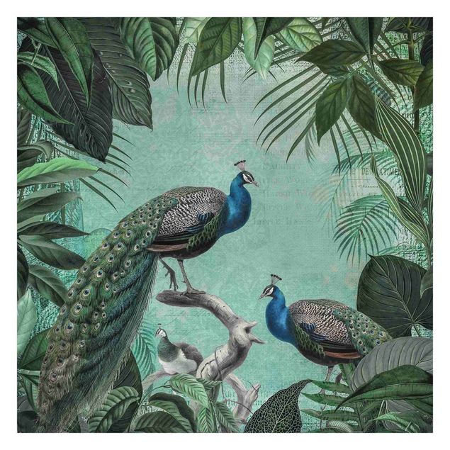 papel de parede com azul turquesa Shabby Chic Collage - Noble Peacock