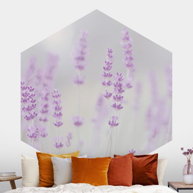 decoraçoes cozinha Summer In A Field Of Lavender
