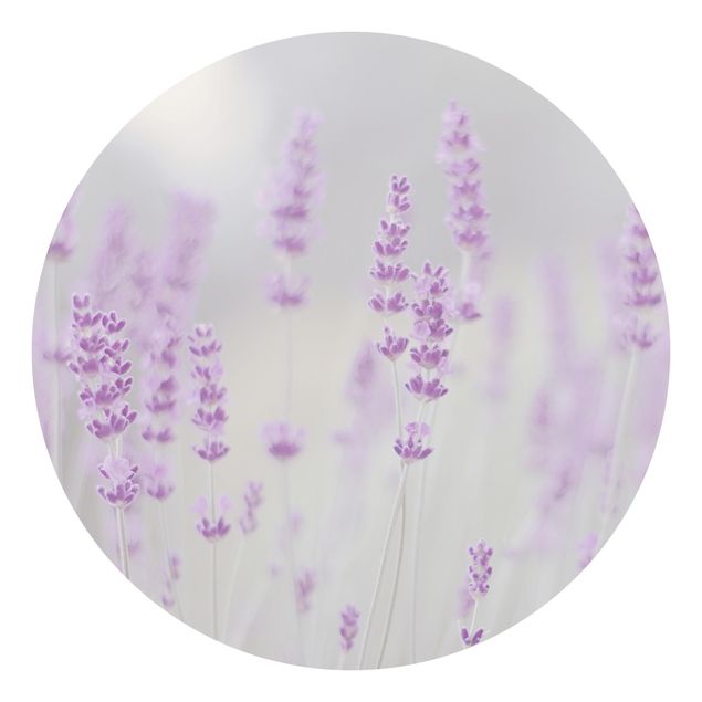 Papel de parede com flores Summer In A Field Of Lavender