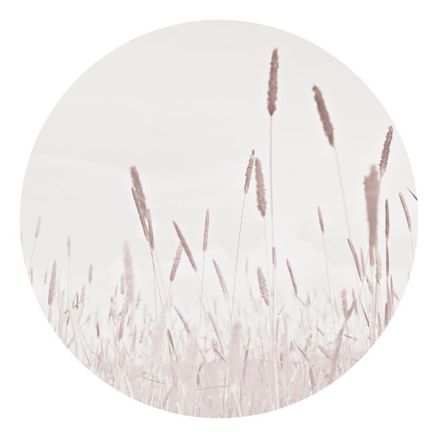papel de parede floral Summerly Reed Grass