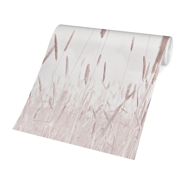 Papel de parede bege Summerly Reed Grass