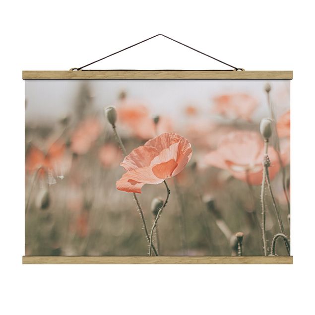 quadros de flores Sun-Kissed Poppy Fields