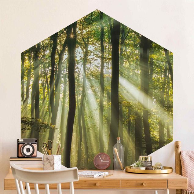 papel de parede floresta tropical Sunny Day In The Forest