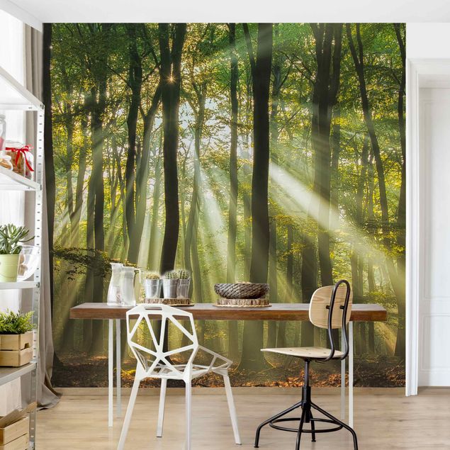 papel parede de floresta Sunny Day In The Forest