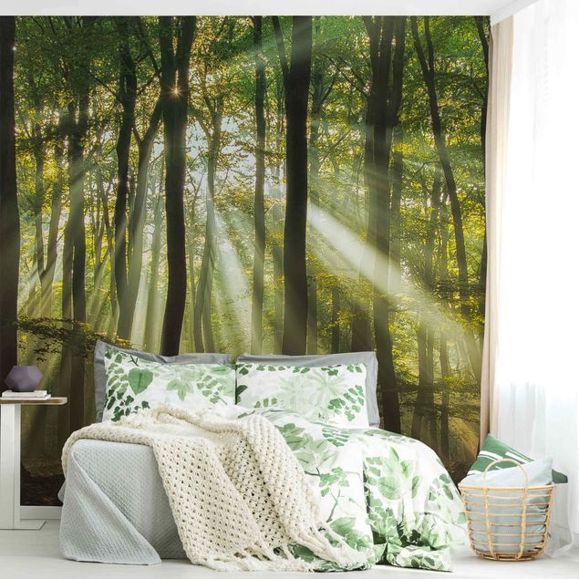 papel de parede moderno para sala Sunny Day In The Forest