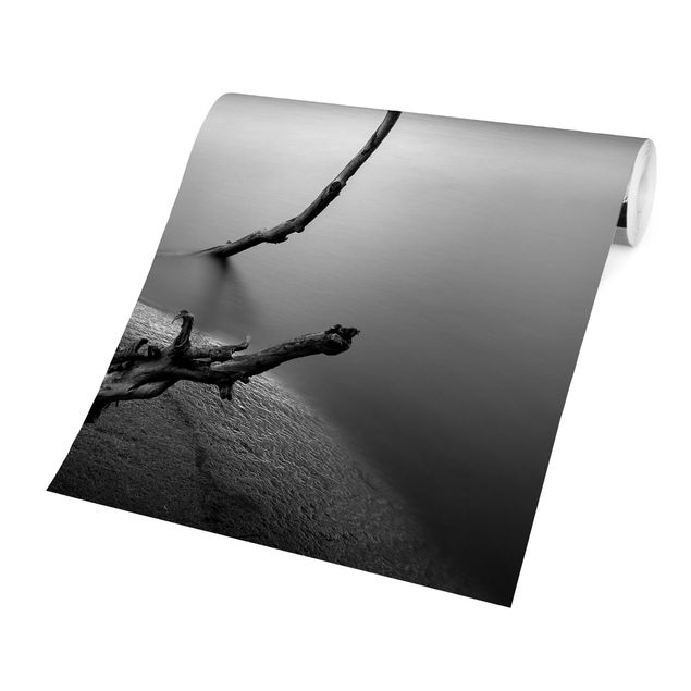 papel de parede com paisagem Sunset In Black And White By The Lake