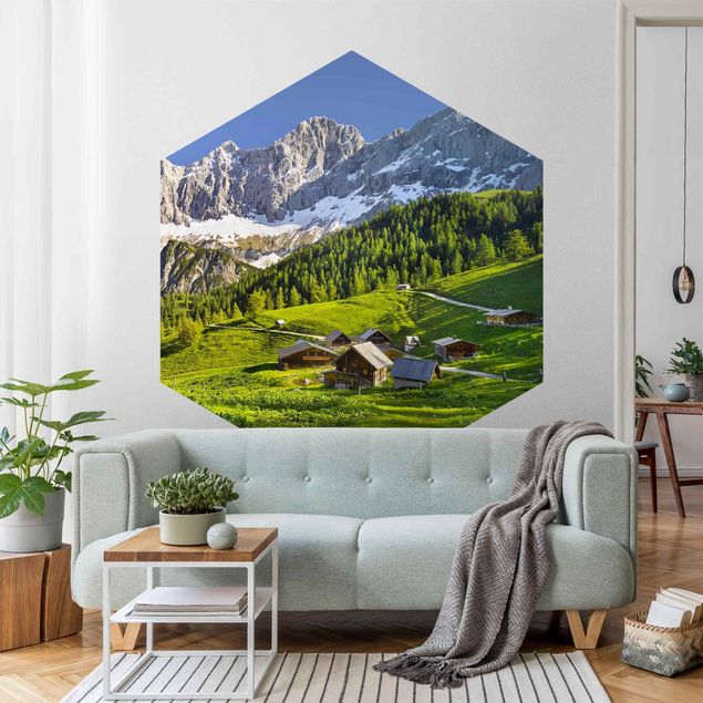 papel de parede moderno Styria Alpine Meadow