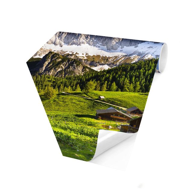 Papel de parede paisagens Styria Alpine Meadow