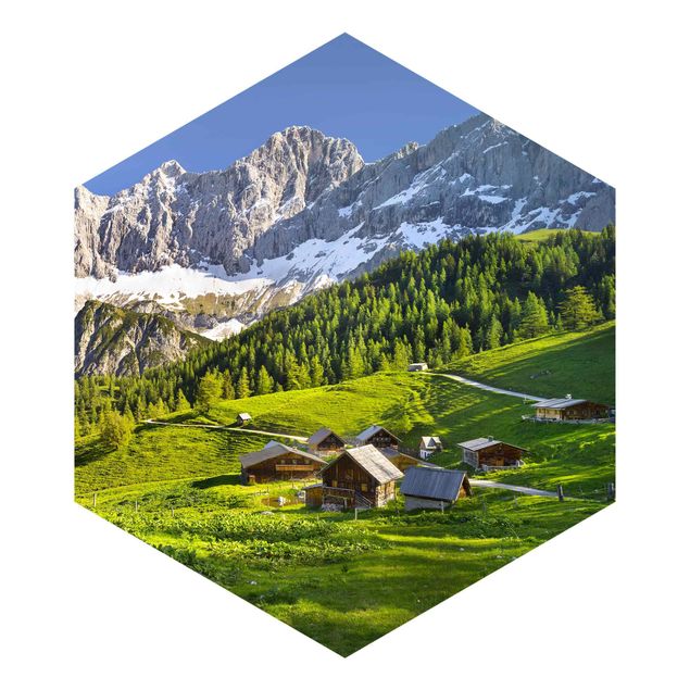 Quadros de Rainer Mirau Styria Alpine Meadow