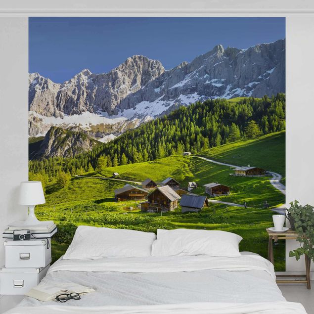 Papel de parede florestas Styria Alpine Meadow