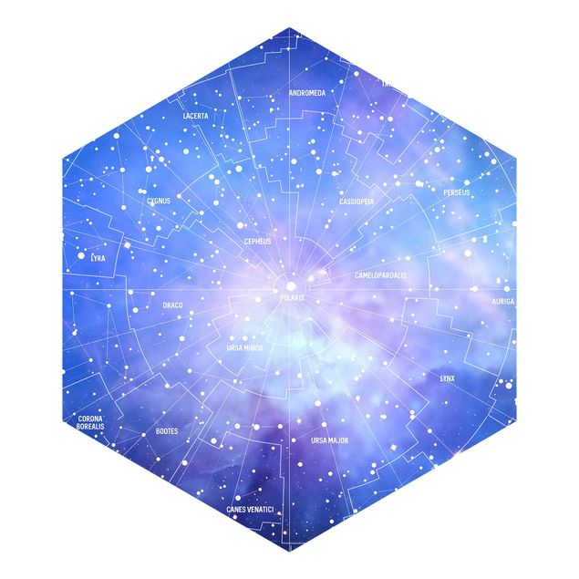 Papel de parede cinza Stelar Constellation Star Chart