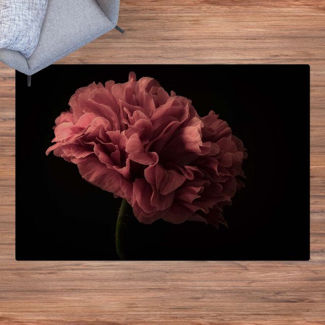 Tapetes modernos Proud Peony In Front Of Black