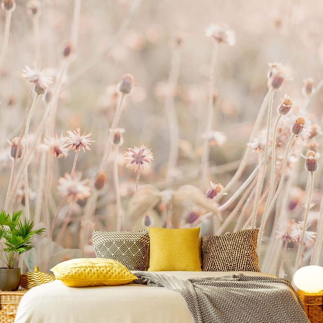 papel de parede para quarto de casal moderno Flowering Meadow In the Sun