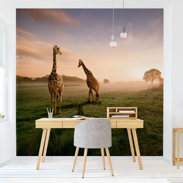 decoraçoes cozinha Surreal Giraffes