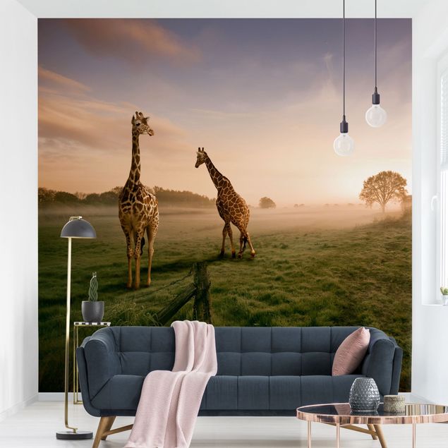 Papel de parede girafas Surreal Giraffes