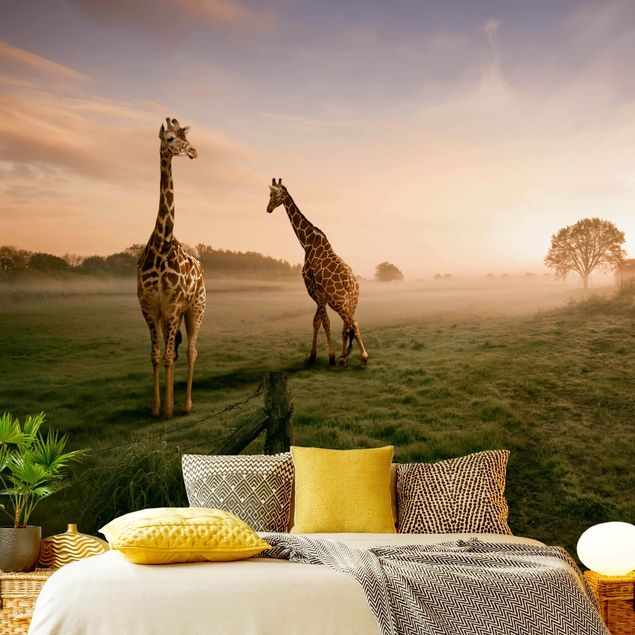 papel de parede moderno Surreal Giraffes