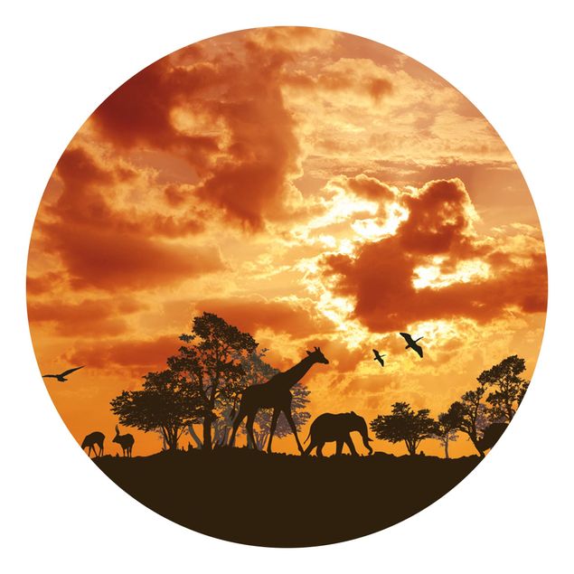 Papel de parede girafas Tanzania Sunset