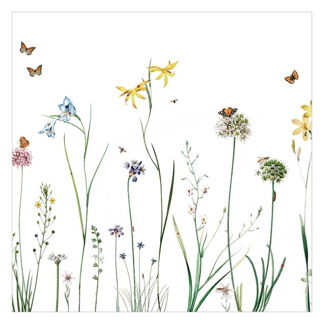 papéis de parede de animais Dancing butterflies on wildflowers