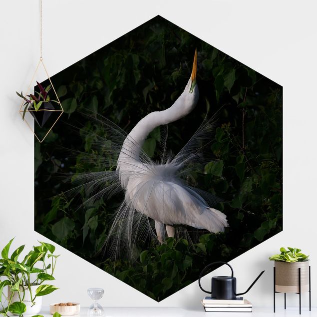 decoraçao cozinha Dancing Egrets In Front Of Black
