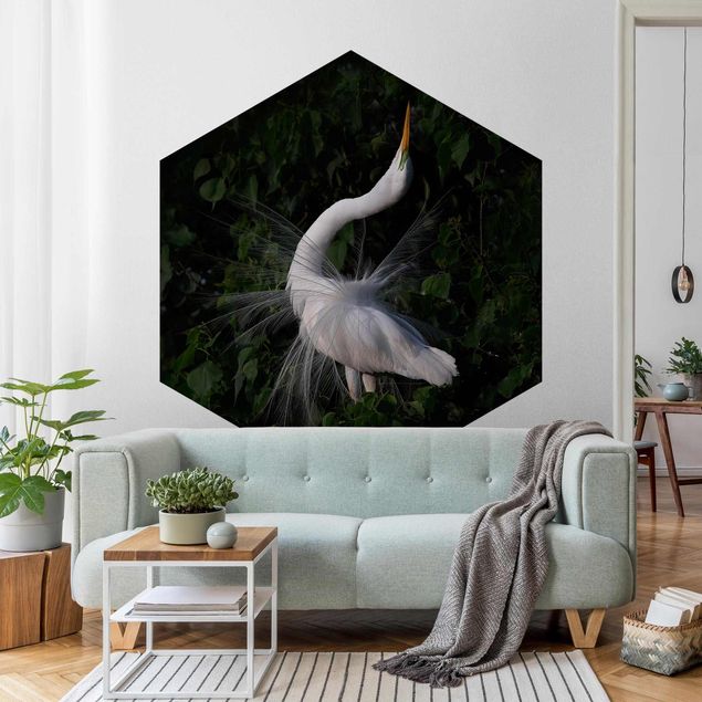 papel de parede moderno para sala Dancing Egrets In Front Of Black