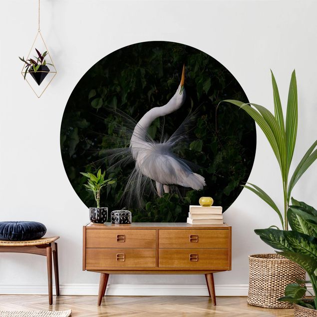 decoraçao para parede de cozinha Dancing Egrets In Front Of Black