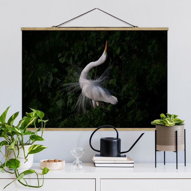 decoraçoes cozinha Dancing Egrets In Front Of Black
