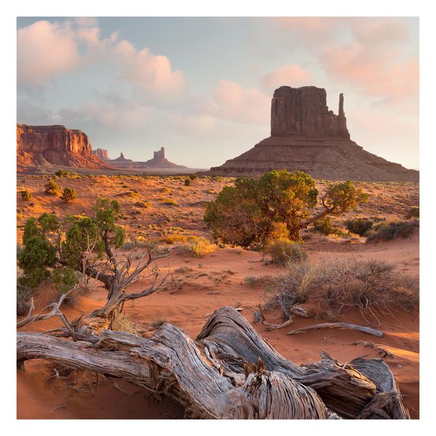 Quadros de Rainer Mirau Monument Valley Navajo Tribal Park Arizona