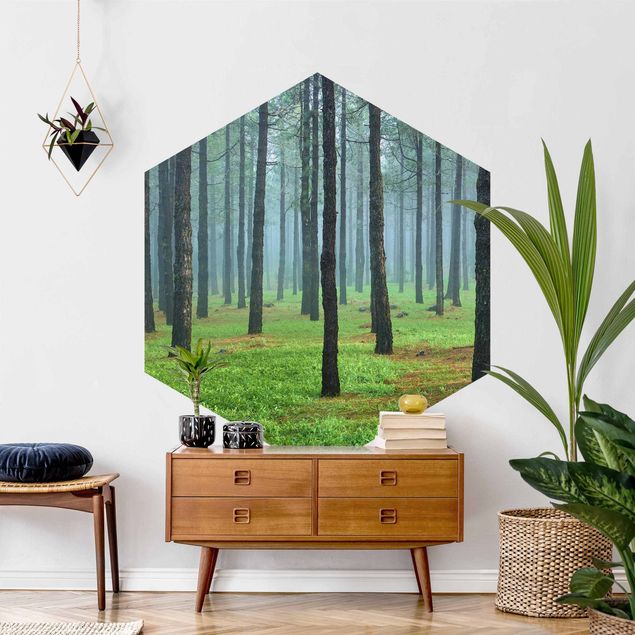 papel de parede moderno para sala Deep Forest With Pine Trees On La Palma