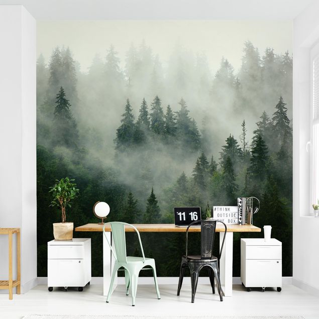 papel de parede floresta tropical Deep Green Fir Forest In The Fog