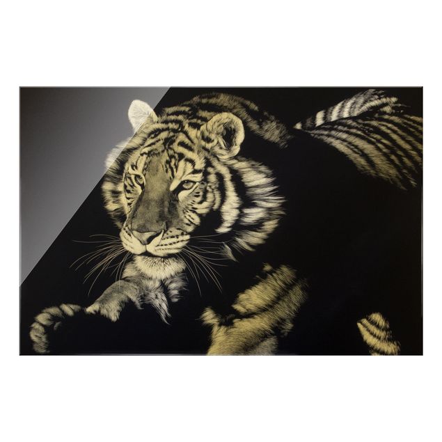 quadros modernos para quarto de casal Tiger In The Sunlight On Black