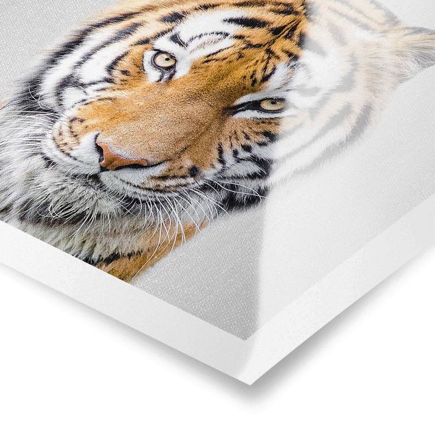 quadros preto e branco para decoração Tiger Tiago