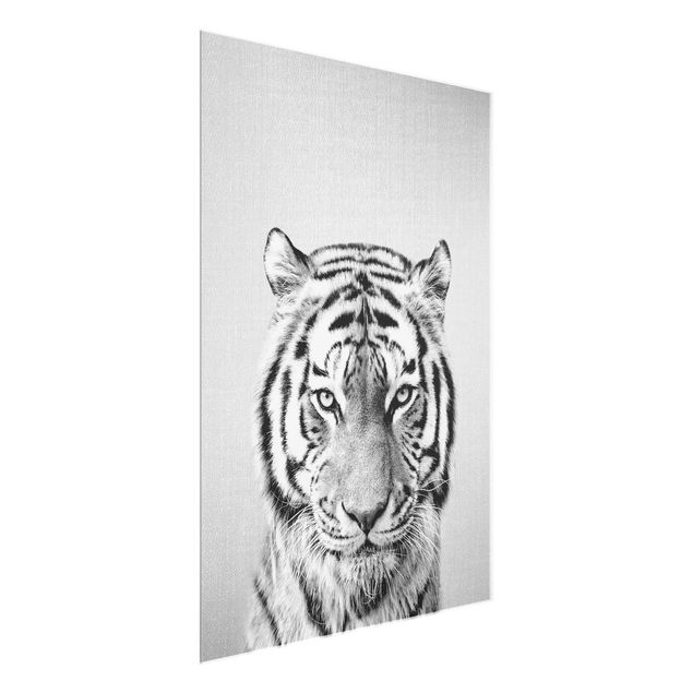 Quadros em vidro animais Tiger Tiago Black And White