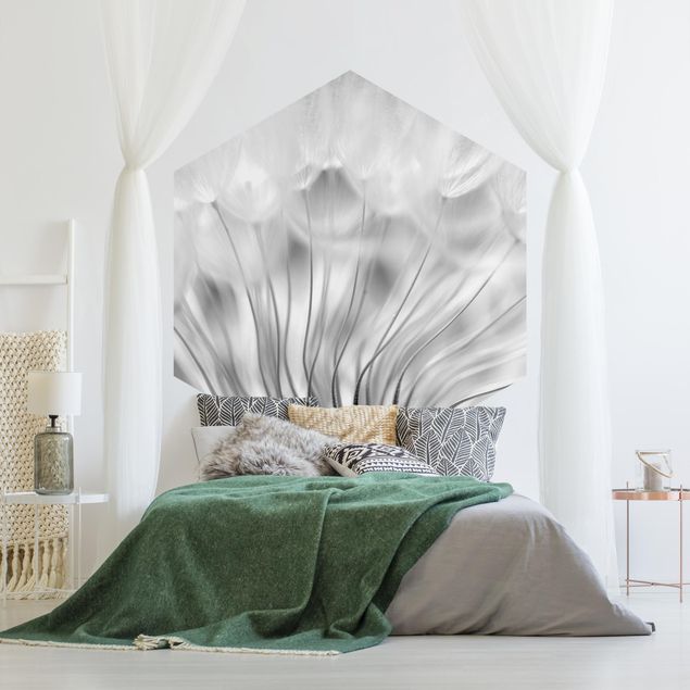 papel de parede moderno Beautiful Dandelion Black And White