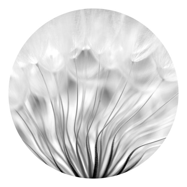 Papel de parede rústico Beautiful Dandelion Black And White