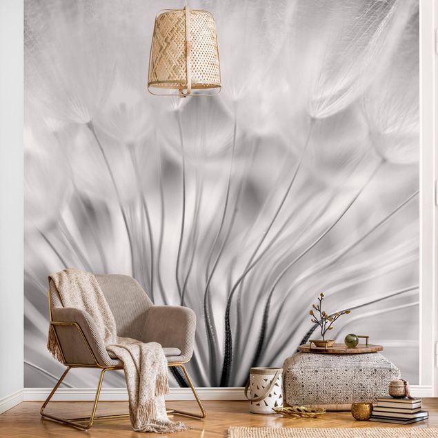papel de parede moderno para sala Beautiful Dandelion Black And White