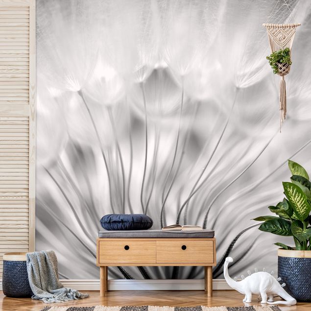 Papel de parede estilo rústico Beautiful Dandelion Black And White