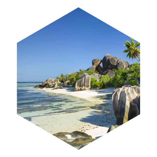papel parede de flor Dream Beach Seychelles