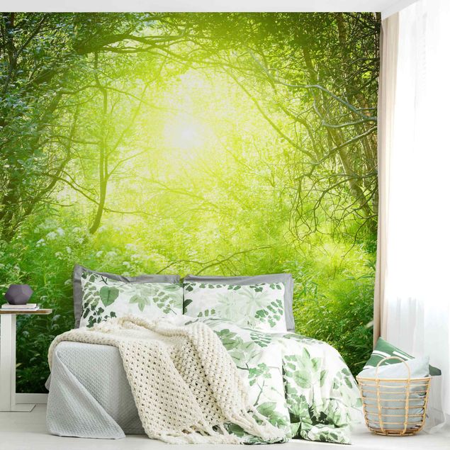 papel parede de floresta Magical Forest