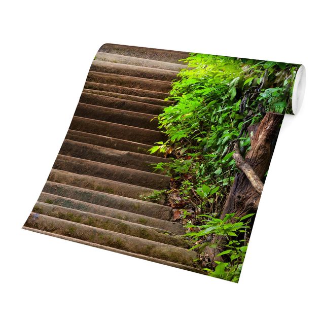 Papel de parede verde Stairs In The Woods