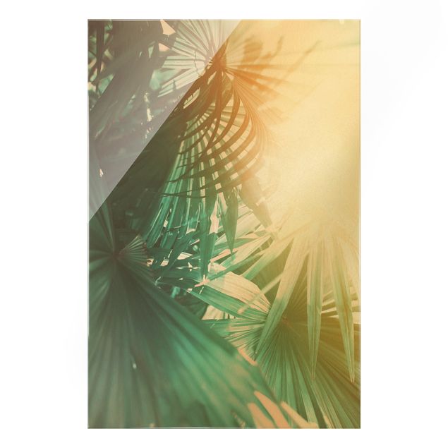Quadros florais Tropical Plants Palm Trees At Sunset