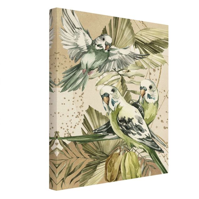 Quadros decorativos Tropical Birds - Green Budgerigar