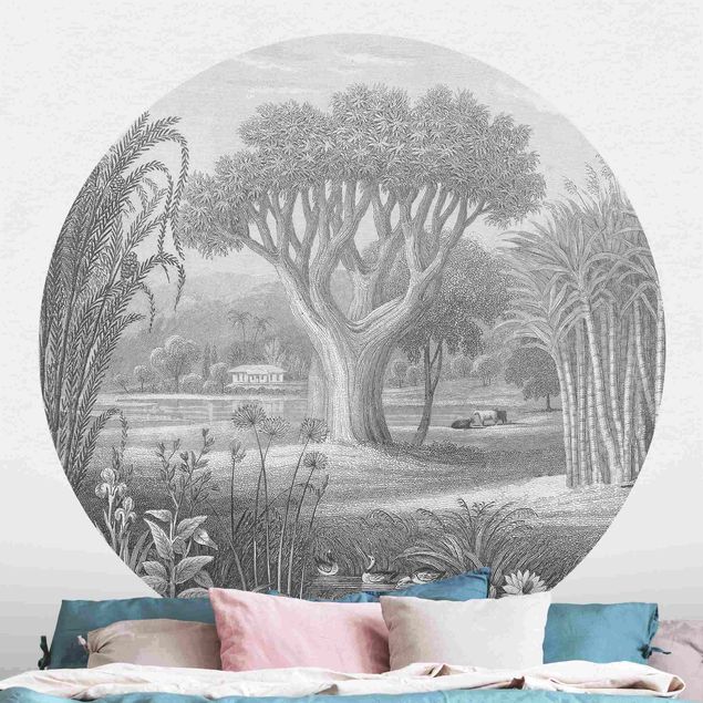 Papel de parede vintage Tropical Copperplate Engraving Garden With Pond In Grey