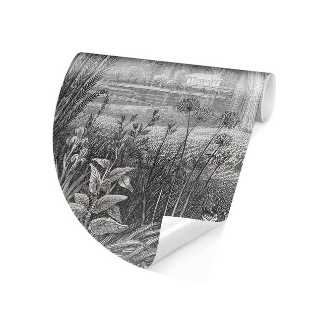 Papel de parede cinza Tropical Copperplate Engraving Garden With Pond In Grey