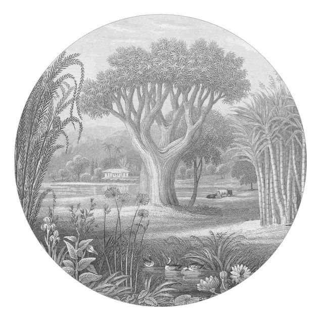 Mural de parede Tropical Copperplate Engraving Garden With Pond In Grey