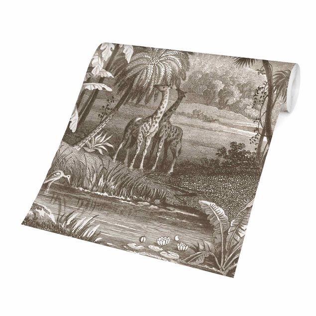 papel de parede floresta tropical Tropical Copperplate Engraving With Giraffes In Brown