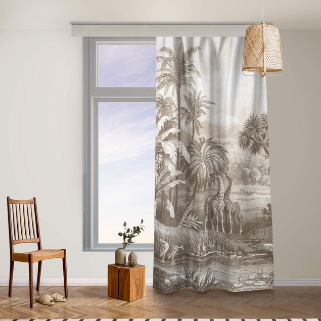 Cortinas modernas Tropical Copperplate Engraving With Giraffes In Brown