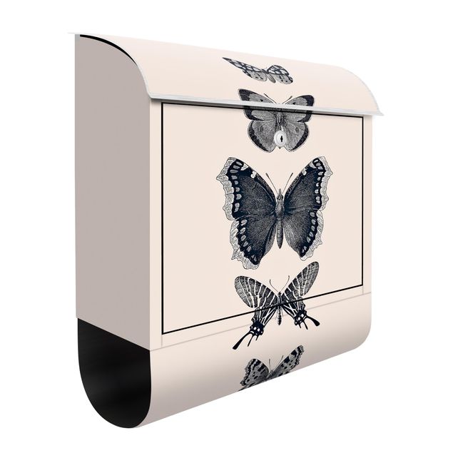 Caixas de correio animais Ink Butterflies On Beige Backdrop