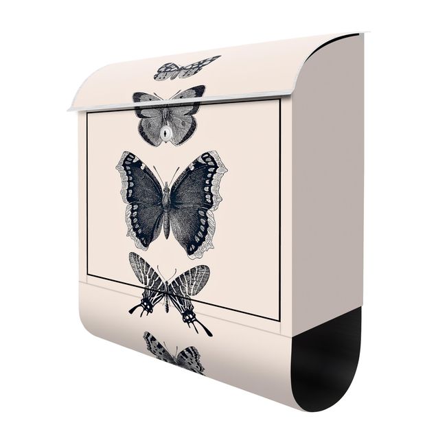 Caixas de correio em bege Ink Butterflies On Beige Backdrop