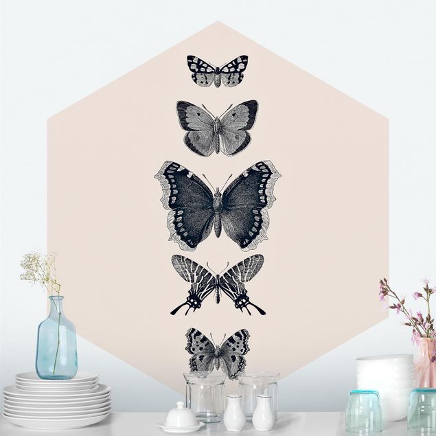 Papel de parede borboletas Ink Butterflies On Beige Backdrop