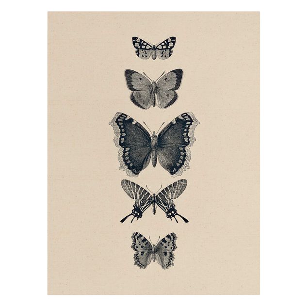 quadros decorativos para sala modernos Ink Butterflies On Beige Backdrop